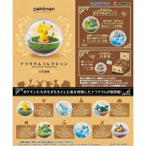 Pokemon - Terrarium Collection 6 Pack BOX [Goods]