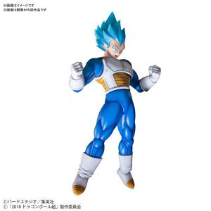 Dragon Ball Super Broly - Super Saiyan God Super Saiyan Vegeta (Special Color) [Figure-rise Standard]