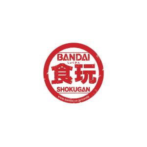 Shokugan: 30 Pokémon Scale World - Hoenn Region Brendan (ORAS ver.) [Bandai]