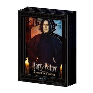 Harry Potter: Severus Snape - Paper Shadow Art Mini [Ensky]
