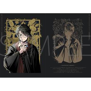 Harry Potter: Wizard Treasure Chest / Yomi Sarachi [Movic]