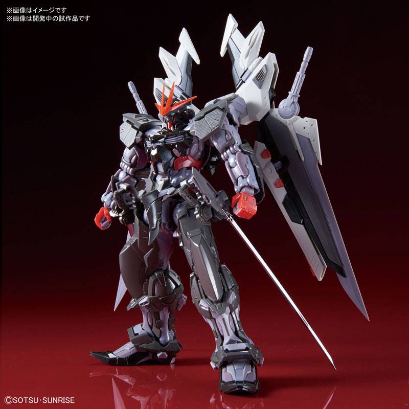 Gundam SEED Destiny Astray B - Gundam Astray Noir High Resolution Model [1/100 HiRM / Bandai]