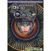 Devil Crash MD / Dragon's Fury [Mega Drive - used]