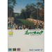 New 3D Golf Simulation: Augusta National Golf Club [Mega Drive - used]